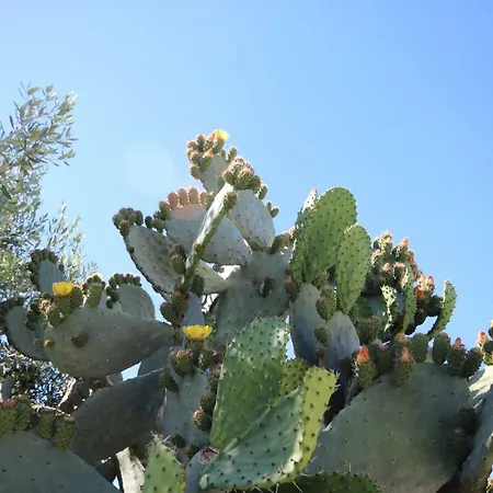 Tenuta Fonto